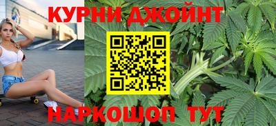 гидропоника Тверь