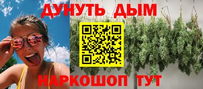 гидропоника Тверь