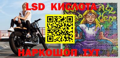 прущие крисы Тара
