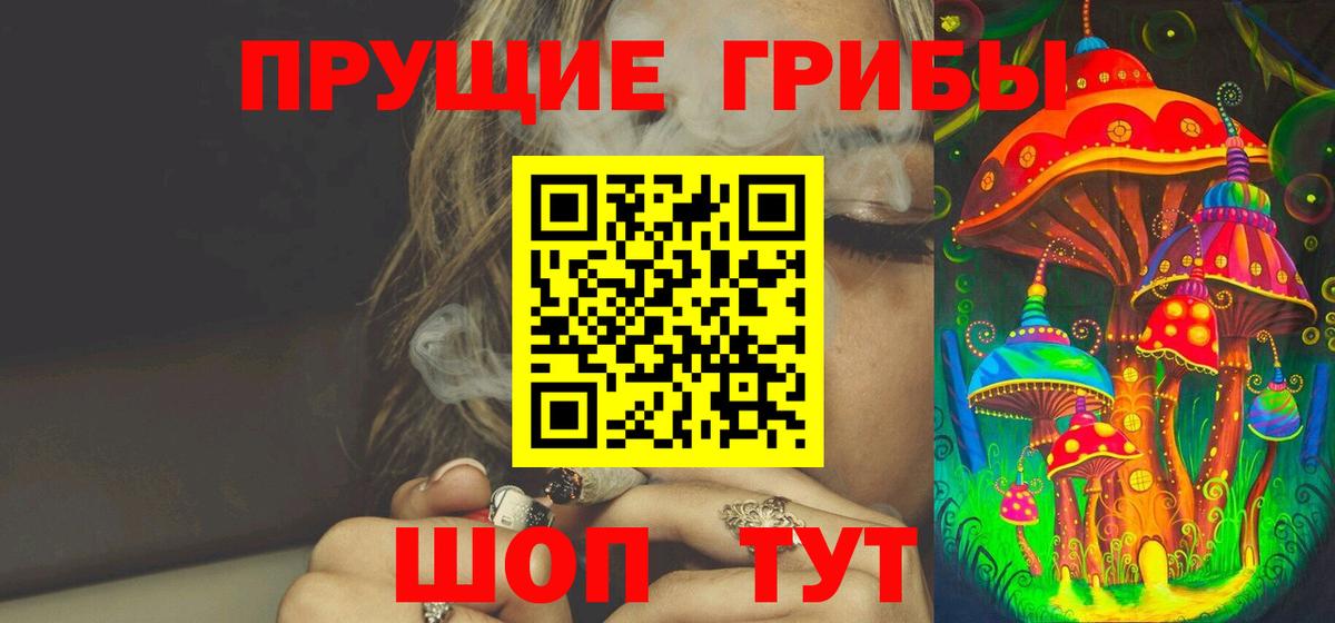 Галлюциногенные грибы Psilocybe  Вход с VPN  Ачинск 